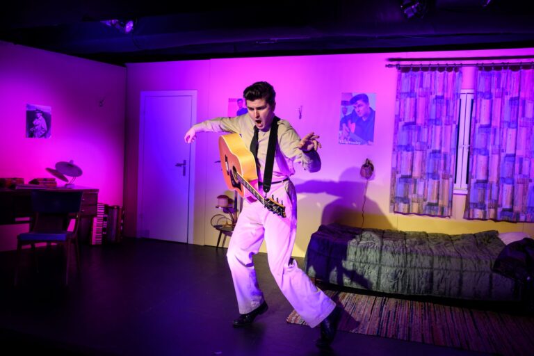 Meine Nacht mit Elvis